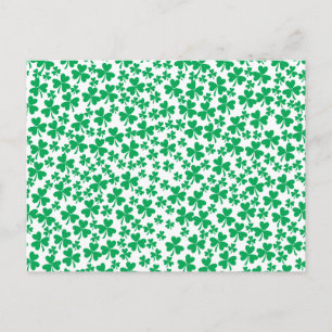 Shamrocks for St Patrick's Day Postcard