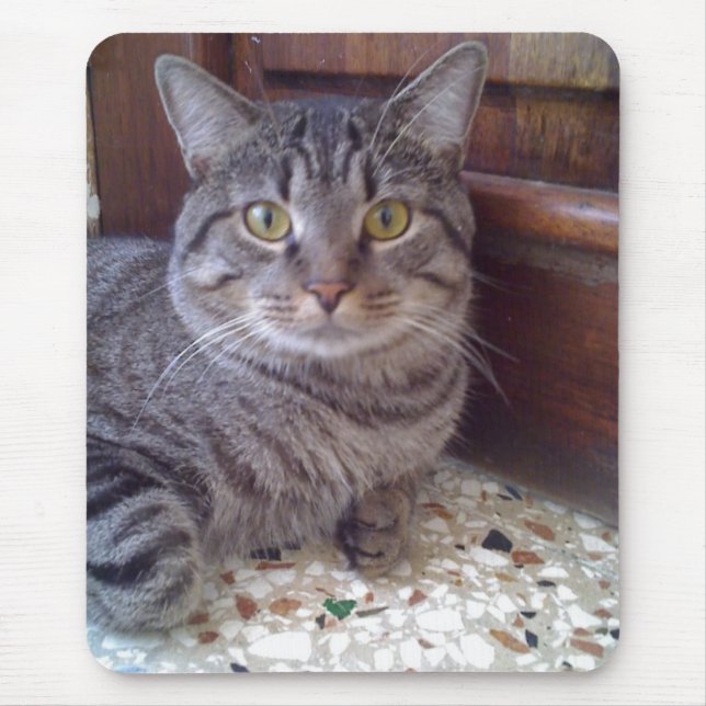 Shangel Mouse Pad (Front)