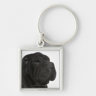 Shar Pei (1 year old) close-up Keychain