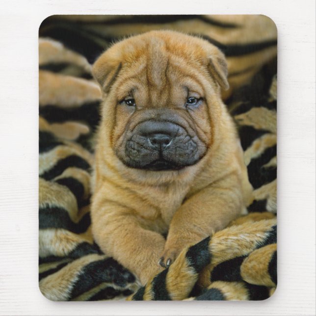 Shar-Pei 4 week old pup Mousepad (Front)