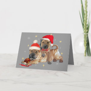 Shar-pei brothers Christmas Cards
