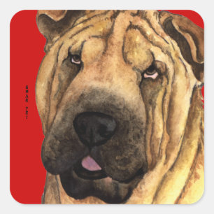 Shar-Pei Colour Block Square Sticker