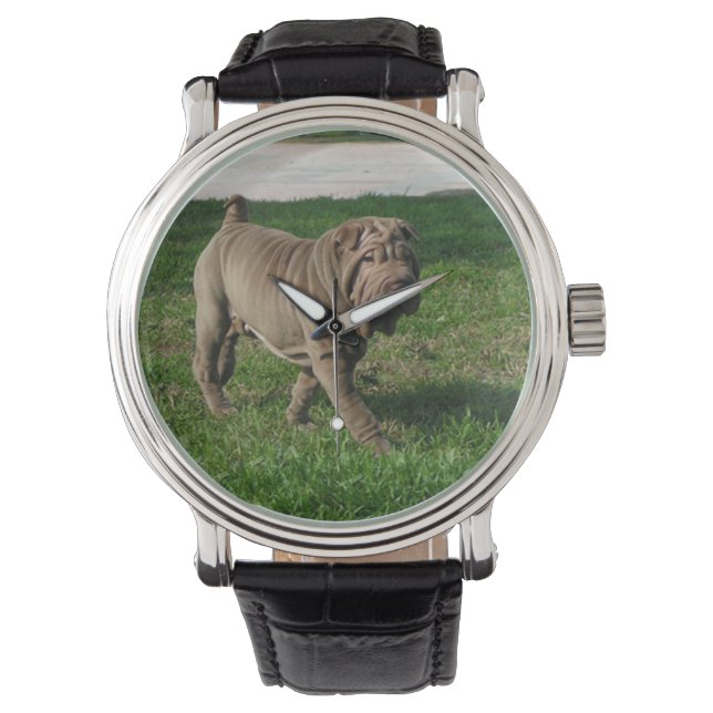 shar pei full 3 watch (Front)
