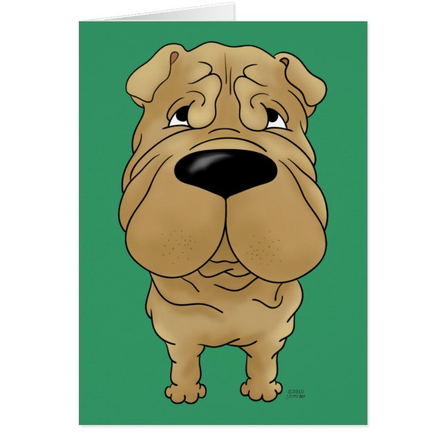 Shar-Pei - grand nez et bout (Devant)