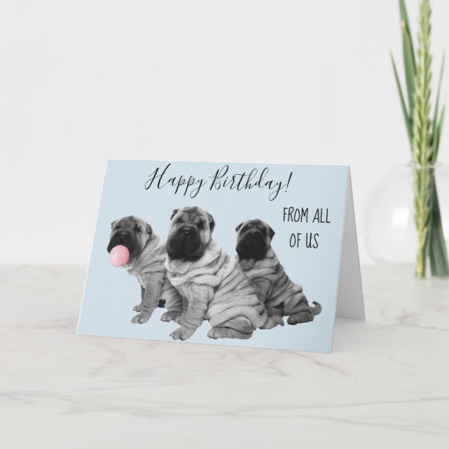 Shar Pei Happy Birthday From All of Us Puppy Card (Front)