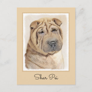 Shar Pei Painting - Cute Original Dog Art Postcard