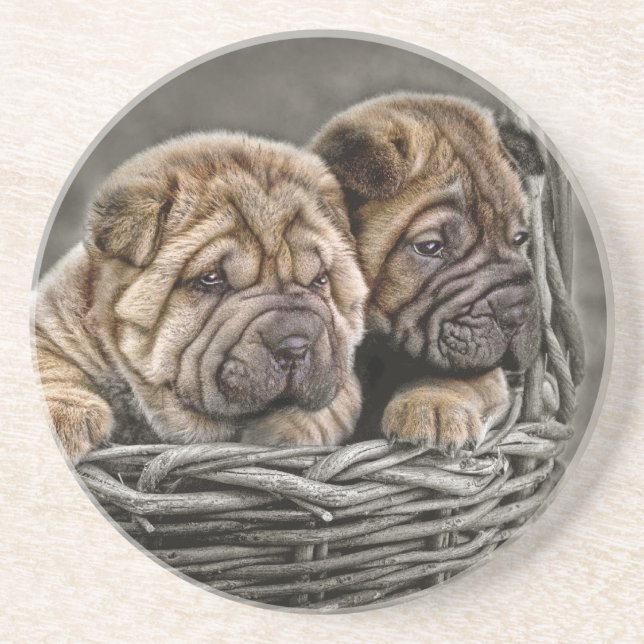 Shar-pei Puppies in Basket Coaster (Front)