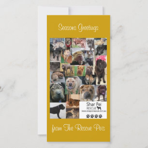 Shar Pei Rescue Xmas Card