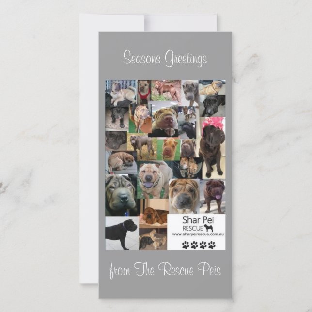 Shar Pei Rescue Xmas Card (Front)