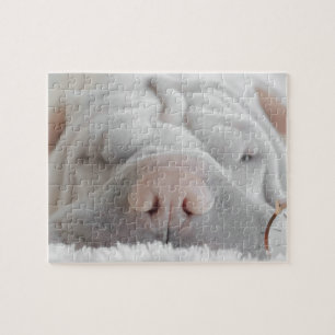 SHAR PEI SLEEPER CHIEN CLOSEUP PUZZLE