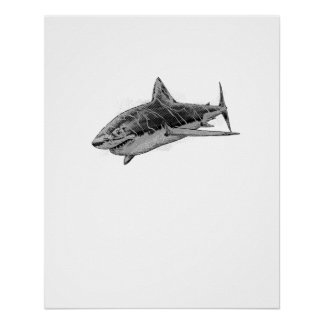 Sharck attack poster