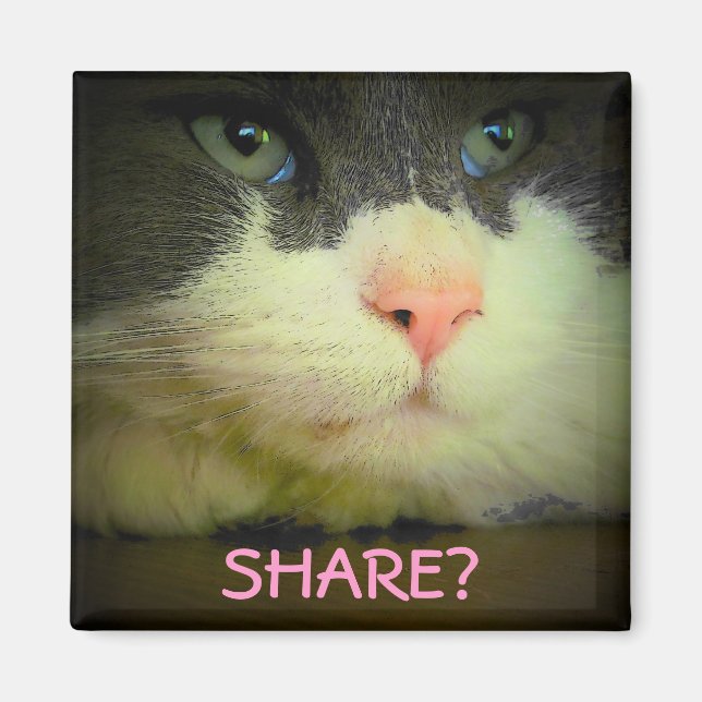 Share with kitty? magnet (Front)