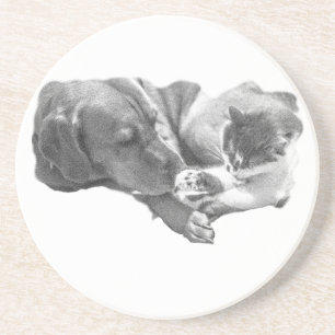 Shared Peace Coaster