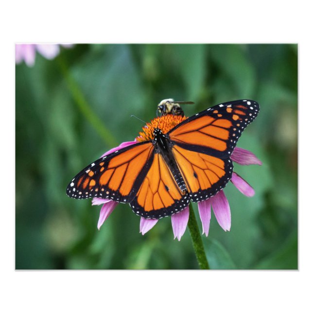 Sharing A Meal Photo Print (Front)