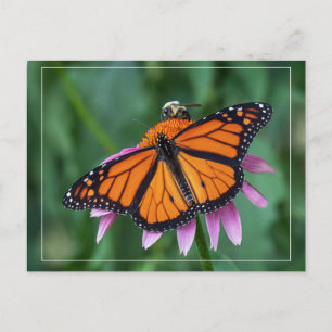 Sharing A Meal Postcard