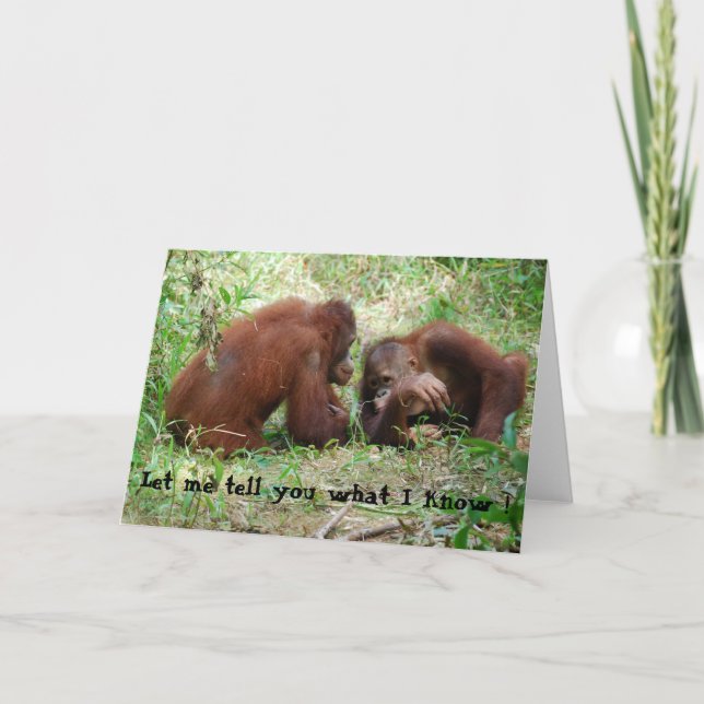 Sharing  Gossip Orangutan Friends Card (Front)