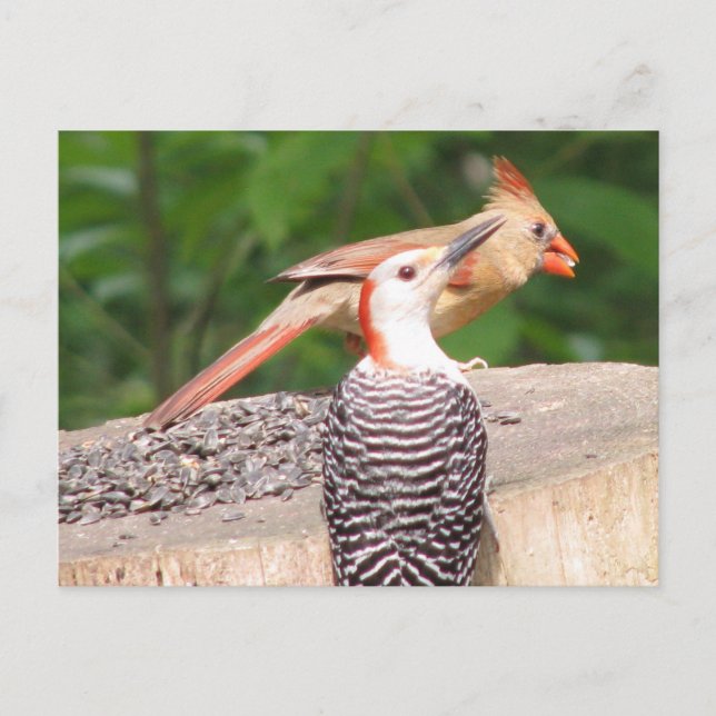 Sharing Seed Postcard (Front)