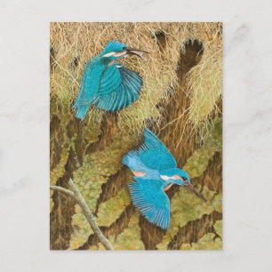 Sharing the Caring 2011 Postcard