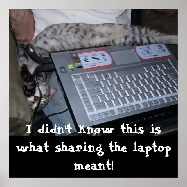 Sharing the Laptop Poster (Front)