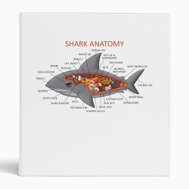 Shark Anatomy Binder (Front)