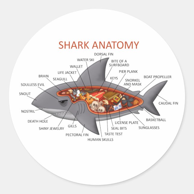 Shark Anatomy Classic Round Sticker (Front)
