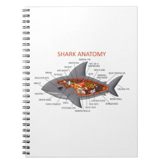 Shark Anatomy Notebook