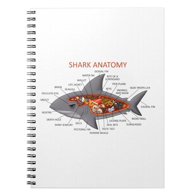 Shark Anatomy Notebook (Front)