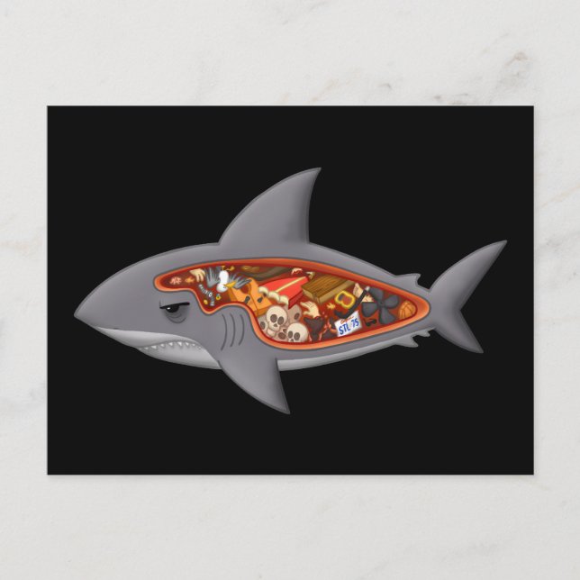 Shark Anatomy Postcard (Front)