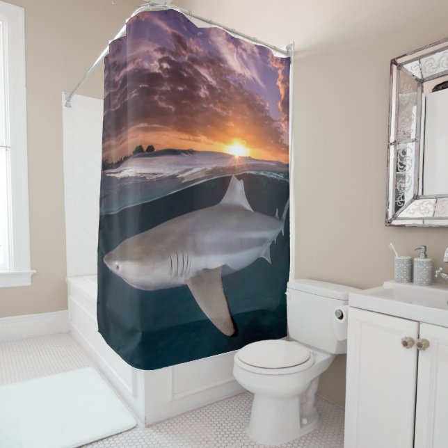 Shark at Sunset (In Situ)