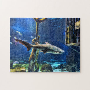 Shark Bait Jigsaw Puzzle