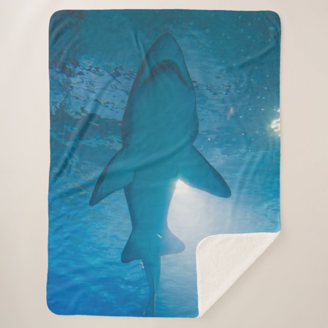SHARK BELLY SHERPA BLANKET (Front)