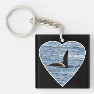 Shark Bite Fin of "John Coe" Orca Keychain