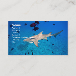 Shark Business Card