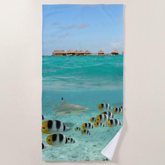 Shark chasing fish in tropical Bora Bora lagoon Beach Towel (Front)