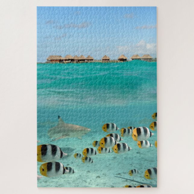 Shark chasing fish in tropical Bora Bora lagoon Jigsaw Puzzle (Vertical)