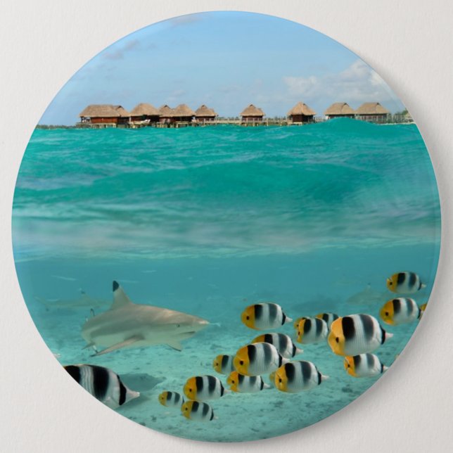Shark chasing fishes, Bora Bora lagoon button (Front)
