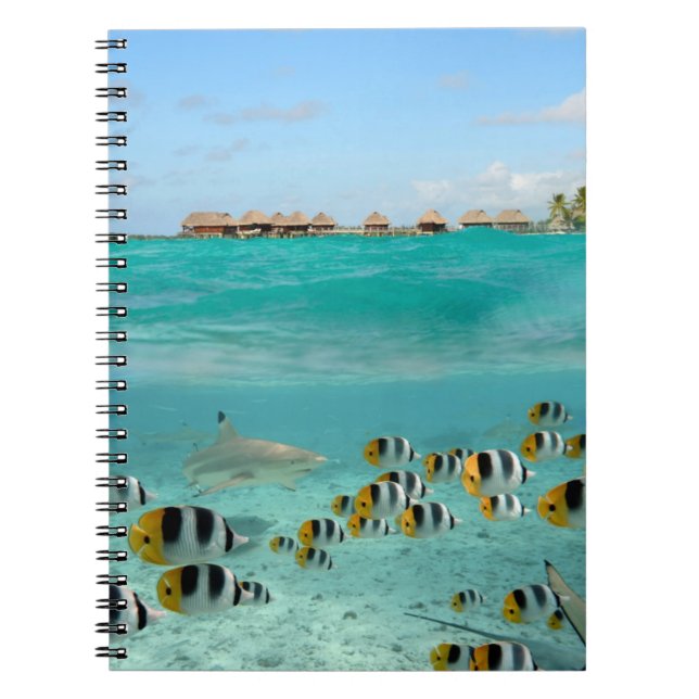 Shark chasing fishes in Bora Bora notebook (Front)