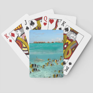 Shark chasing fishes playing cards deck