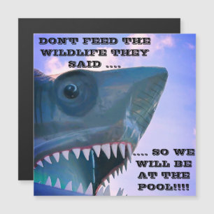 SHARK CRUISE DOOR MAGNET