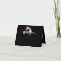 Shark Eating Pizza Shark Lovers Funny Gifts