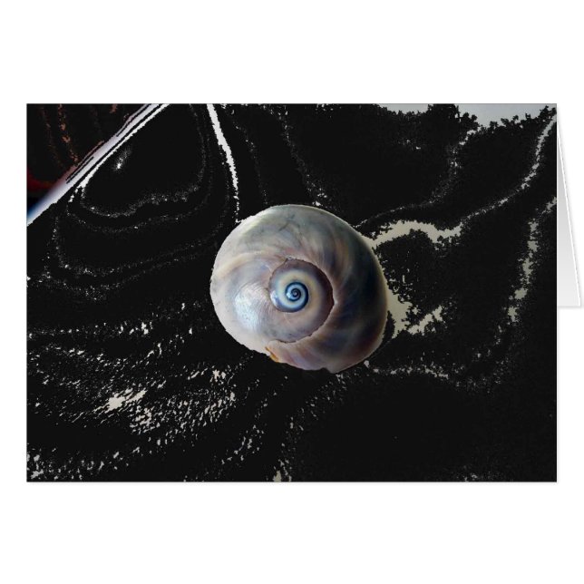 Shark Eye 2 (Front Horizontal)