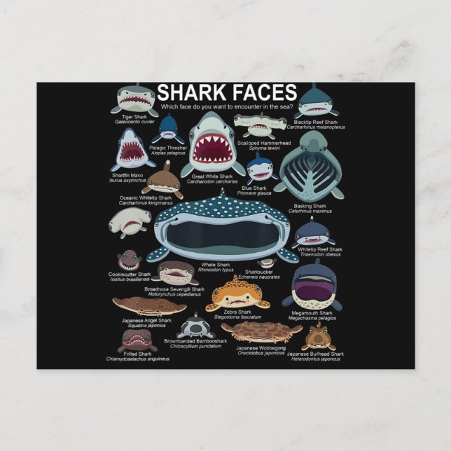 Shark Faces Which Face Do You Want To Encounter Holiday Postcard (Front)