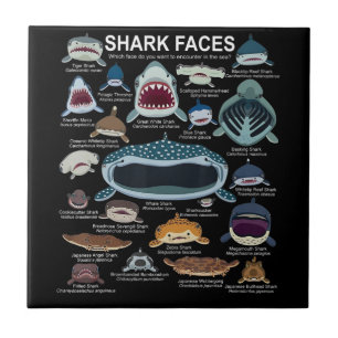 Shark Faces Which Face Do You Want To Encounter Tile