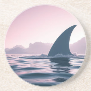 Shark Fin Power Coaster