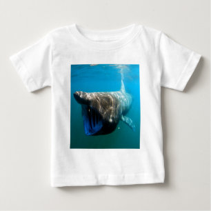 Shark Fish Ocean Tropical Ocean Destiny Gifts Baby T-Shirt