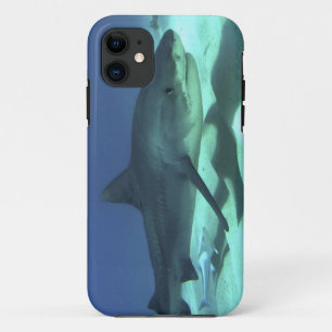 Shark Fish Ocean Tropical Ocean Destiny Gifts iPhone 11 Case