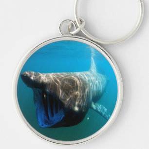 Shark Fish Ocean Tropical Ocean Destiny Gifts Keychain