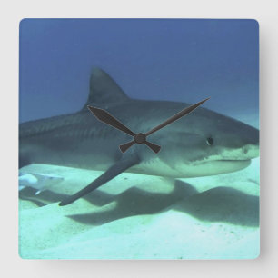 Shark Fish Ocean Tropical Ocean Destiny Gifts Square Wall Clock