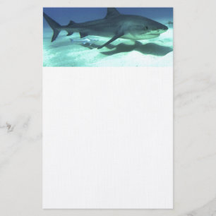 Shark Fish Ocean Tropical Ocean Destiny Gifts Stationery