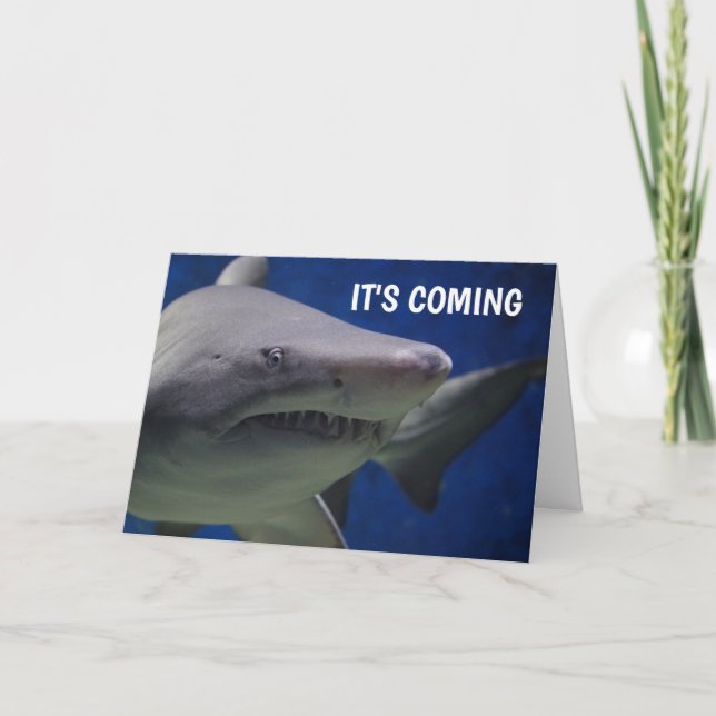 SHARK FUNNY BIRTHDAY CARDS (Front)
